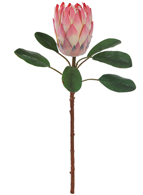 泰环帝王花仿真花客厅装饰摆件