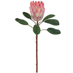 轻奢高端帝王花仿真花假花摆设客厅餐桌花电视柜摆件高档装饰花卉