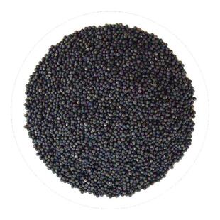 王不留行中药材静萱正品王不流行王牧牛粉王母牛籽非炒王不留行子