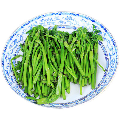 到来福东北野菜猫爪子菜新鲜速冻