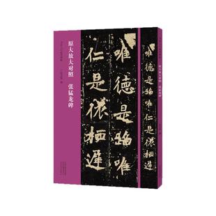 书法入门必学碑帖 张猛龙碑楷书原大放大对照 毛笔书法墨迹古贴拓片魏碑书法 教育机构成人零基础入门临摹教程练字帖 书法篆刻艺术
