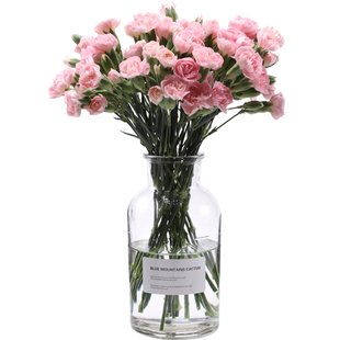 康乃馨鲜花云南基地直发鲜切花家庭插花客厅室内花束装饰顺丰包邮