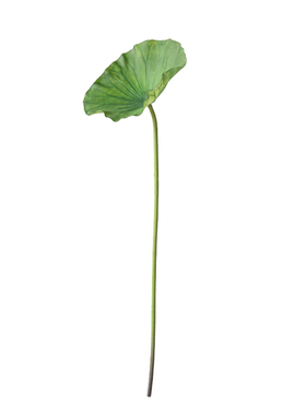 假花仿真花束荷叶荷花禅意室内新中式装饰花莲蓬玄关餐厅插花摆设