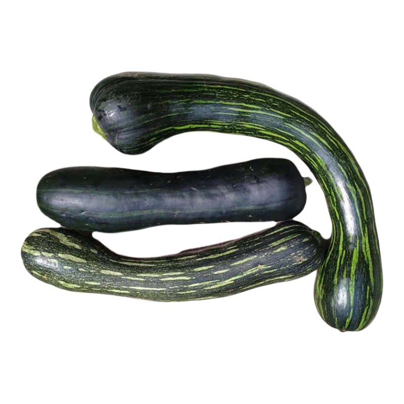 倭瓜农家嫩南瓜嫩倭瓜新鲜蔬菜