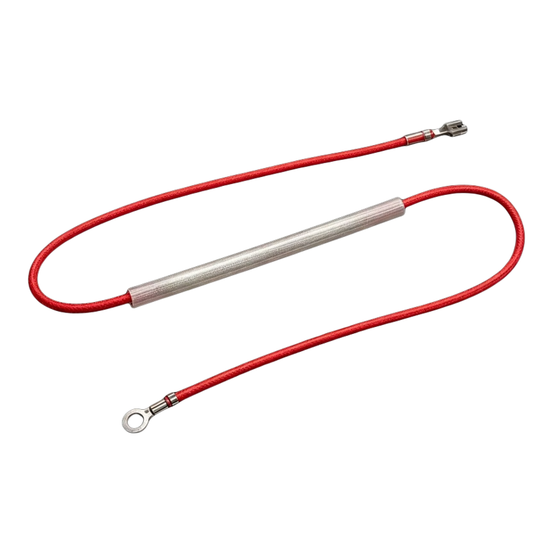 金属温度保险管通用电饭煲压力锅电热锅热敏电阻熔断器10A250V185