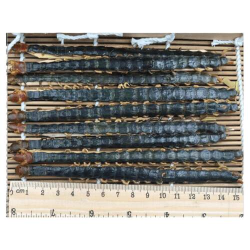 蜈蚣中药材正品蜈蚣干红头大蜈蚣千足虫吴公百足虫非野生批发打粉