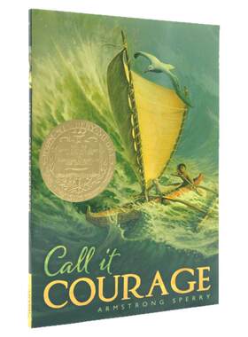 勇气 Call it Courage 纽伯瑞金奖作品  英文原版小说 儿童文学作品  中小学生课外阅读 Armstrong Sperry 平装