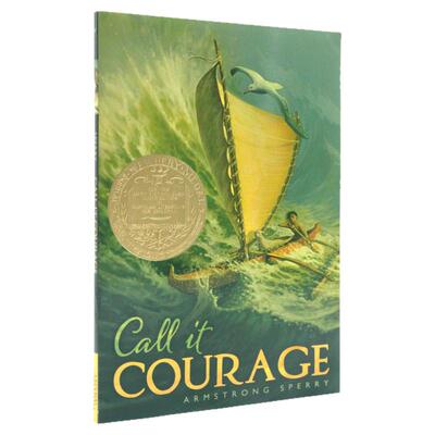 勇气 Call it Courage 纽伯瑞金奖作品  英文原版小说 儿童文学作品  中小学生课外阅读 Armstrong Sperry 平装