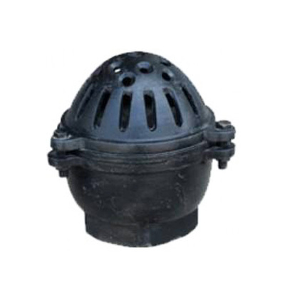 水泵底阀莲蓬头吸水阀止回阀国标