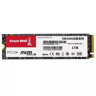 长城GW3300M2固态硬盘SATA协议NVMe协议台式机笔记本电脑预装系统