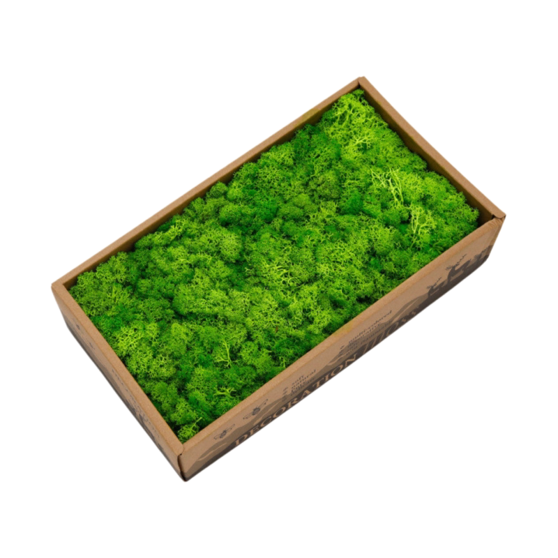 仿真绿植造景永生苔藓微景观装饰