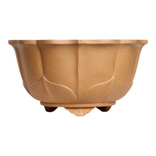 紫砂花盆大号盆景绿植盆栽园艺培育摆设展览松柏文竹多肉多瓣双色