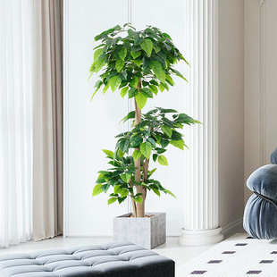 幸福树大型仿真植物1 花盆选择美化家居环境5A级仿真 1.8米多款
