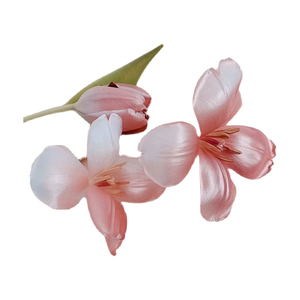 鲜花珠光喷色剂花艺玫瑰自喷漆