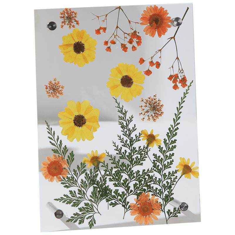 教师节干花相框手工diy成品压花画框植物标本保存摆台创意礼物品