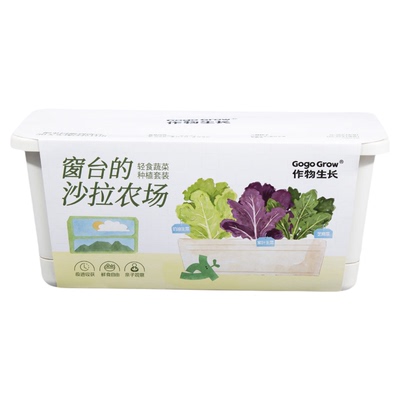 生菜沙拉种植套装盆栽
