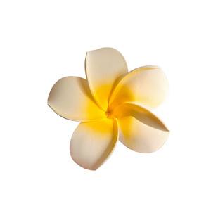 鸡蛋花发夹女头饰前额碎发夹海边拍照花朵发饰刘海侧边夹鸭嘴夹子