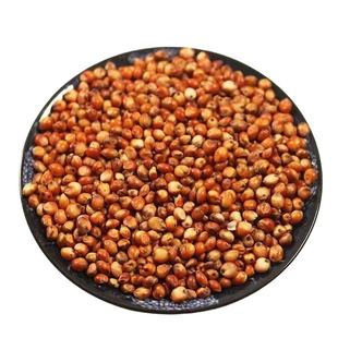 农家红高粱酿酒专用高粱粮食去壳红高粱鸽子食物用大粒红高粱批发