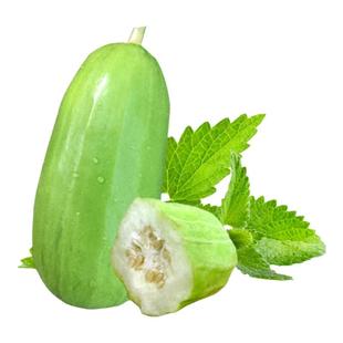 菜瓜种子脆瓜籽水菜瓜老品种八棱脆菜瓜四季播庭院蔬菜种孑春季秋