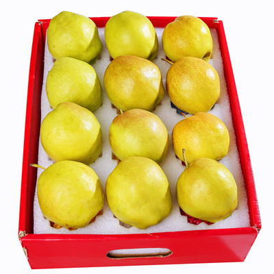 特级全母梨！皮薄肉厚