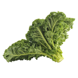 绿色羽衣甘蓝苗秧寿光观赏食用四季耐寒绿紫粉白羽衣盆栽阳台种子