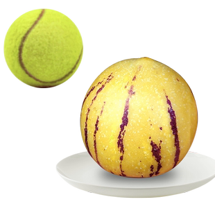 【高端特大】云南人参果水果石林人生叁果圆果树上熟黄肉新鲜大果