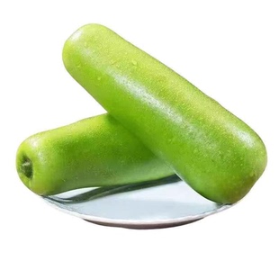 农家新鲜瓠子瓜应季蔬菜露天种植户子蒲瓜西葫芦瓜胡瓜现摘