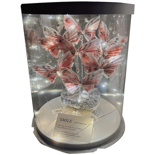 生日礼物蝴蝶有钱花束DIY材料包高级感送女生闺蜜妈妈情人节礼物