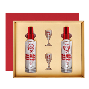 滨河9年50度白酒九粮酿造九粮香型品鉴酒试饮小酒礼盒装100ml*2瓶