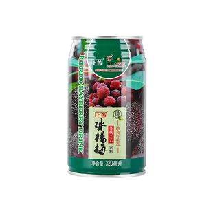 上首 果味冰杨梅汁浓缩果汁 饮料酸梅汤整箱320ml*24瓶 饮品