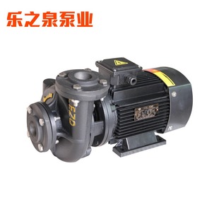 35D食品机械油炸机热油泵导热循环管道增压循环小油泵