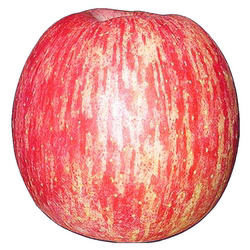 正宗陕西洛川大苹果新鲜整箱9斤