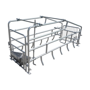 落地式母猪产床简易猪产床单体产床猪栏定位限位栏猪设备养殖设备