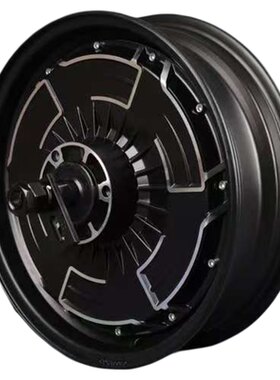 全顺10寸12寸4代电机5代1500W 2000W 3000WP瓦片纪念版赛道版电机