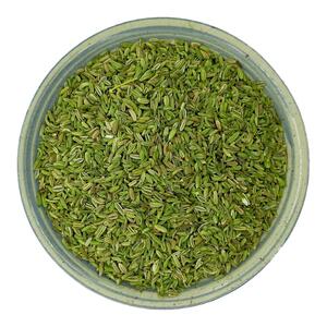 包邮家用甘肃特绿小茴香500g