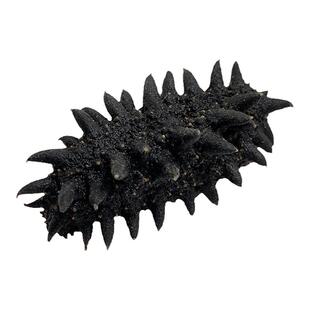 俄罗斯野生淡干海参干货50g特价二红六排刺参8成干原货非即食辽参