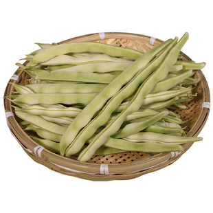 传统老来少豆角种子九粒白芸豆种籽大全四季菜豆蔬菜种孑农家