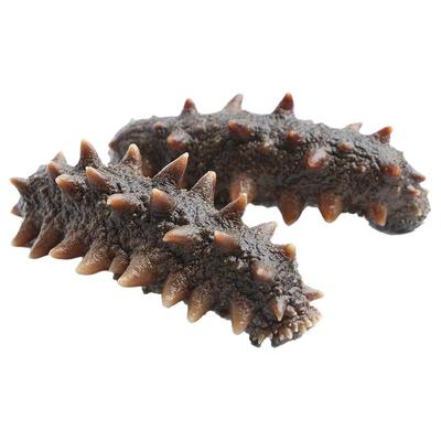 粤宝洋大连刺参冷冻即食海参