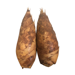 浙江毛笋春笋新鲜现挖现发蔬菜鲜笋毛竹笋黄泥冬笋火锅配菜去老根