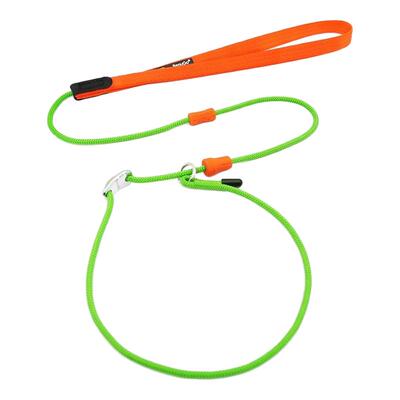 BeauGo狗狗牵引绳大型犬防爆冲