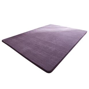 加厚客厅地毯ins毛绒卧室床前毯房间满铺家用儿童可机洗爬行地垫