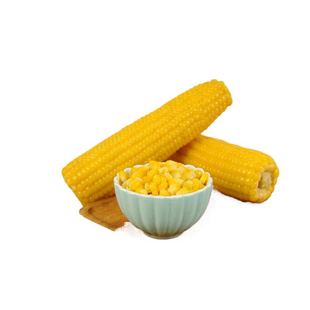 康宇田源糯玉米新鲜黄玉米棒真空8根来自中国甜糯玉米之乡五寨