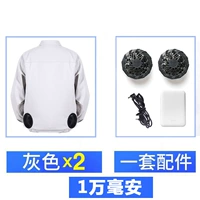 Два части с высоким уровнем серого+один набор аксессуаров (10 000 мия)