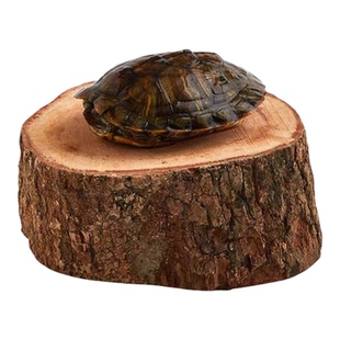 乌龟晒台免煮龙眼木水质净化龟缸龟用品高水位浮岛龟台晒背台