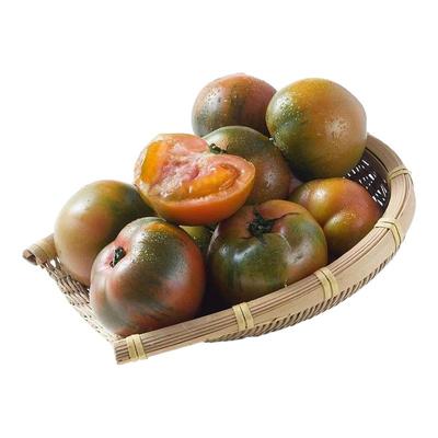 丹东盐碱地铁皮柿子草莓绿