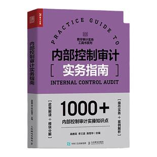 内部控制审计实务指南 操作务实 案例分析 政策解读 人民邮电出版社 正版书籍 凤凰新华书店旗舰店