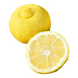 怀化黄金贡柚纯甜多汁口感