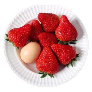 正宗丹东草莓红颜丹东99草莓牛奶无添加孕妇可食用当季现摘现发