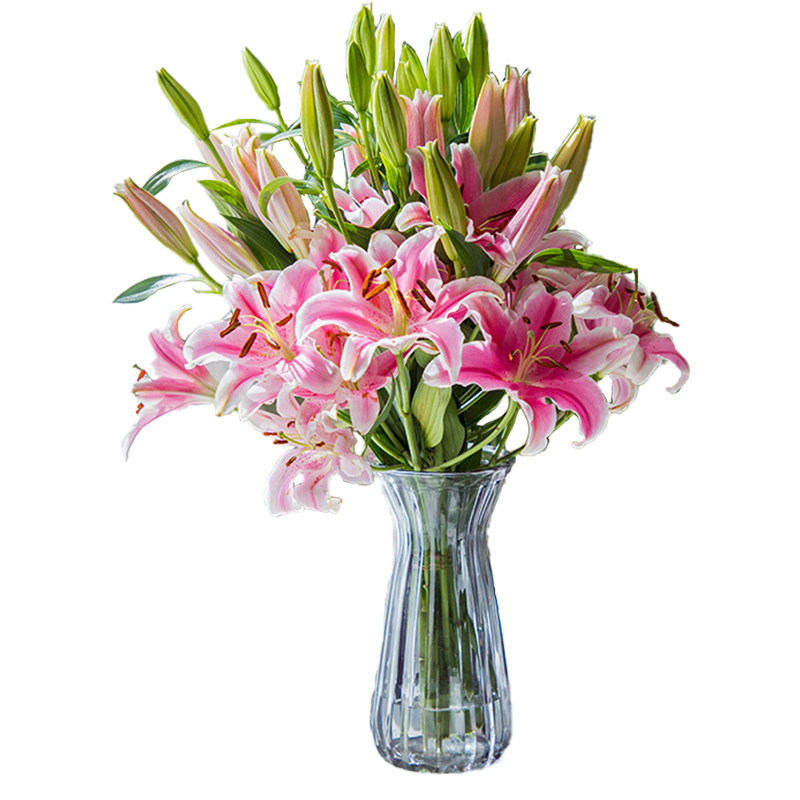 百合鲜花云南直发家用水养香水百合花花束基地直批速递同城教师节
