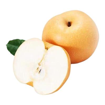 特大果王南水梨皮薄爆汁冰糖梨